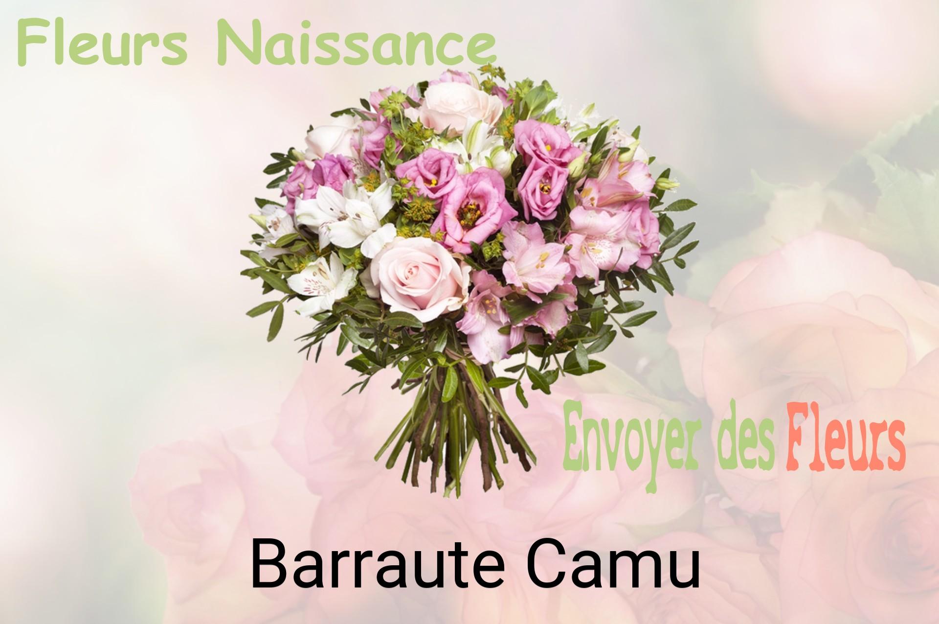 Bouquet de fleurs de naissance livré à Barraute-Camu